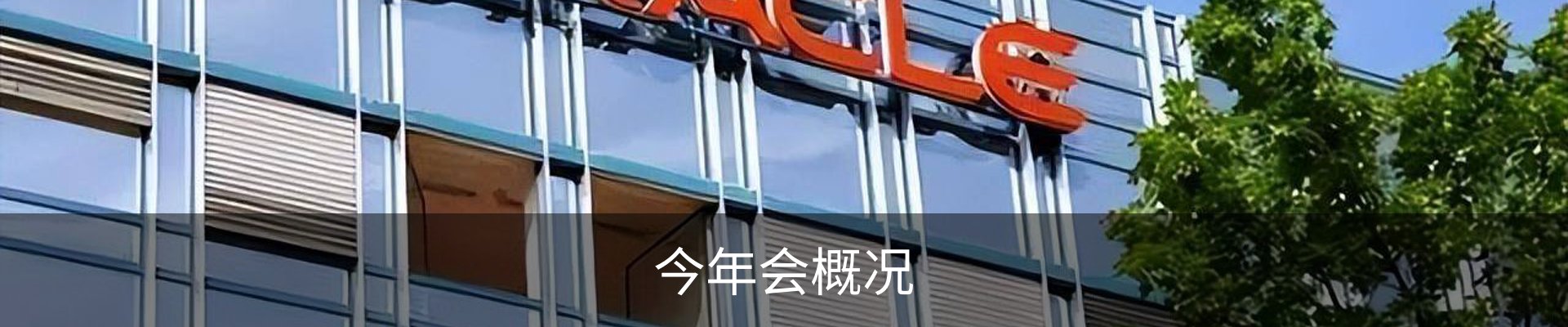 今年会概况